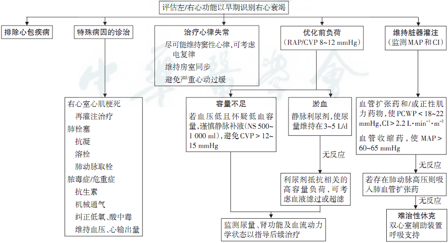 急性右心衰竭的治疗流程